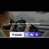Little Wolf Automotive