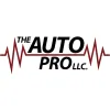 The Auto Pro