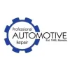 Professional Automotive Repair