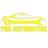 Pro Automotive