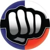 ProMobile Automotive