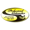 Professional Automotive