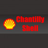Chantilly Shell